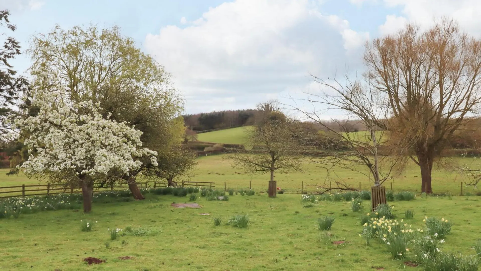 Crablake Farmhouse Exeter Holiday home